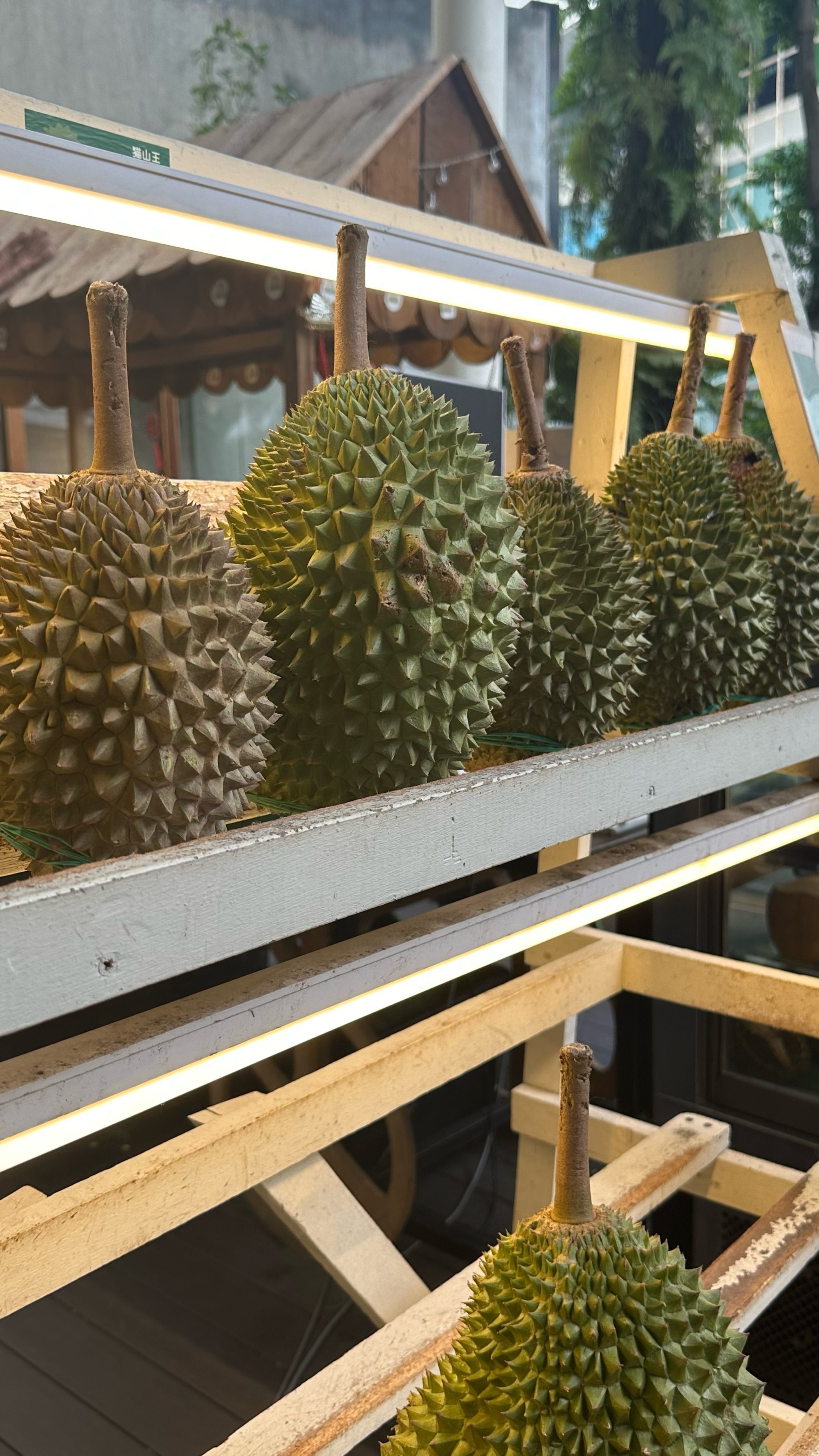 榴莲拼盘里有黑刺,黑金 猫山王,山顶 白