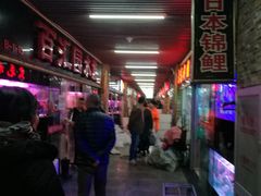 -中环花鸟鱼虫市场
