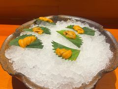 -月龍吟(朝龙汇店)