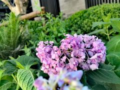 -云·酷 Atmosphere(国贸大酒店)