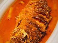 红烧黄河鲤鱼-阿五黄河大鲤鱼(纬三路店)