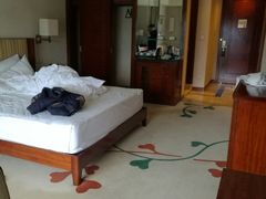 -惠州康帝国际酒店