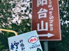 -阳台山自然风景区