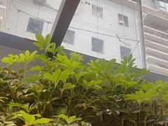 -巴厘龙虾·榜首油焖大虾(洞庭·艺术洋房店)