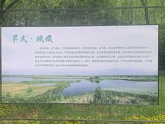 -野鸭湖国家湿地公园