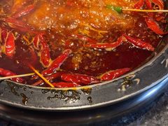 -蜀大侠火锅(总府路店)