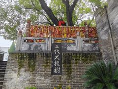 -大槐树寻根祭祖园