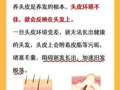 -中国农业大学(西校区)