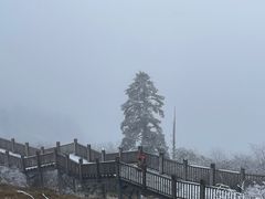 -西岭雪山大飞水景区