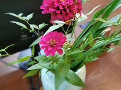 -天目湖御水温泉·度假酒店