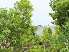 -新加坡飞禽公园