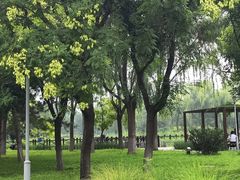 -望湖公园