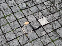 -长阳创谷