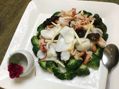 西兰花珊瑚蚌柳-渔民新村(番禺总店)