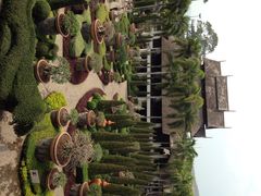 iphone_upload_pic-东芭乐园