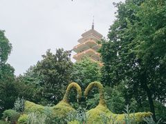 -鹅岭公园瞰胜楼