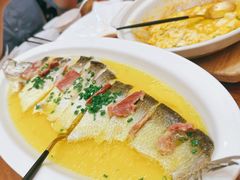 -鲁宴·鲁煨黄河生态大鲤鱼(月坛店)
