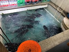 -旭龙鱼头王(航华店)