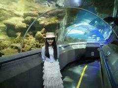 -大连圣亚海洋世界