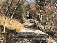 -紫金山山顶公园