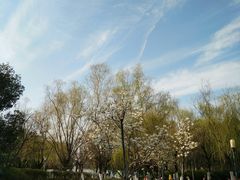 -天鹅湖体育公园