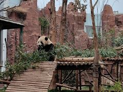 -五龙山野生动物王国