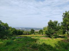 -紫云台香草园