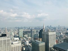 -东京都厅舍
