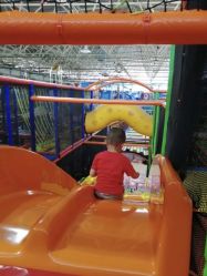 -爱丽丝奇幻乐园