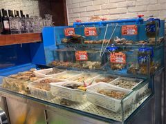 -潮庭·大连海鲜·炭火烧烤·扇贝王(大连店)