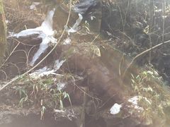 -藏龙百瀑风景区