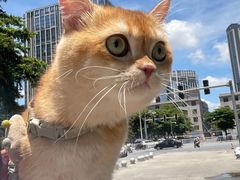 -爱诺耐芙动物医院(万博店)