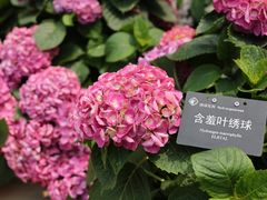 -中国科学院华南植物园