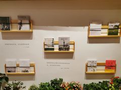-猫的天空之城概念书店(丽江古城饮玉巷店)