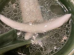 -润园四季椰子鸡火锅(海上世界店)