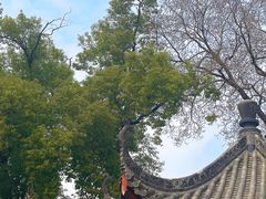 -长春观
