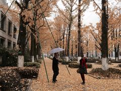 -百林公园-两江幸福广场