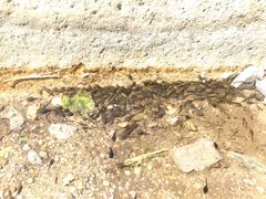 -碓臼峪自然风景区