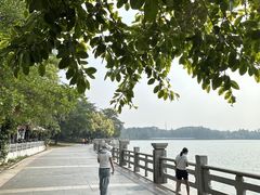 -海珠湖公园