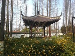 -瀛洲公园