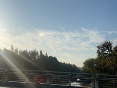 -江滩湿地公园