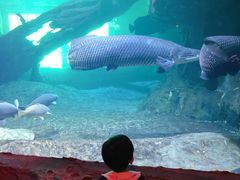 -华夏文旅海洋公园