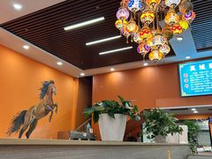-马旭土鸡焖花卷新疆菜大盘鸡·真域顺西域美食(天马大道店)