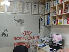 -乐琪宠物医院·犬猫专科·骨外科·急重症