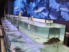 -物美大卖场(玉蜓桥店)