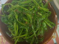 -周肥肠(江油总店)