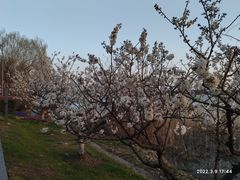 -太阳岛度假酒店