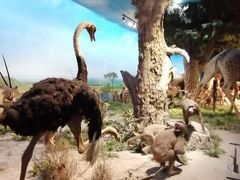 -国家自然博物馆