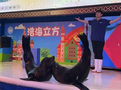 -成都浩海立方海洋公园