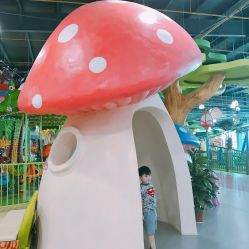 点击看大图 -维佳童话镇演出现场(徐东店)